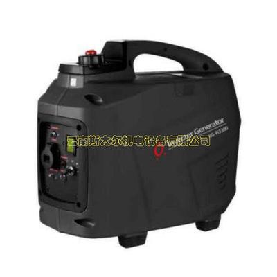 电喷静音车载发电机